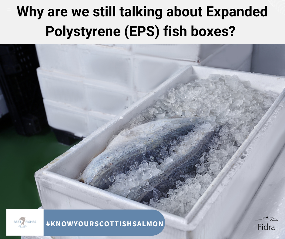 Why are we still talking about Expanded Polystyrene (EPS) fish